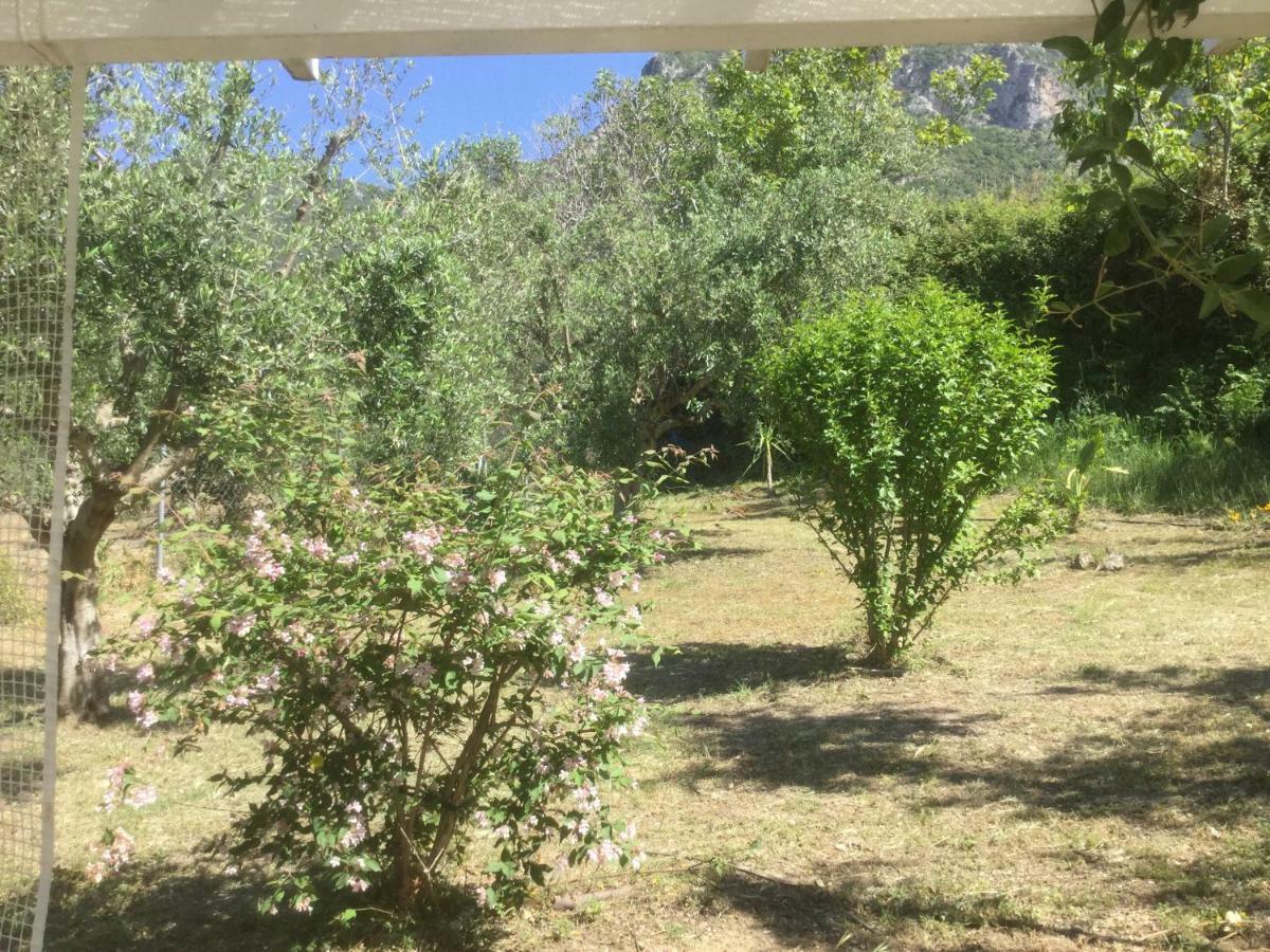 The Cabin, Kyparissia Luaran gambar