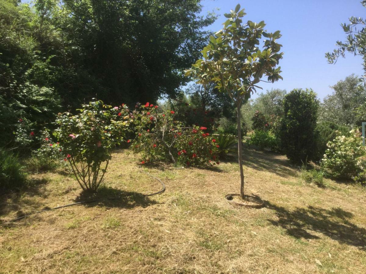 The Cabin, Kyparissia Luaran gambar